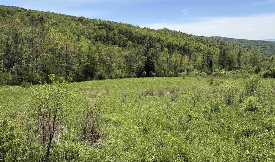 Bear Hill Road, Brookfield, VT 05036 - 0 Beds, 0 Bath