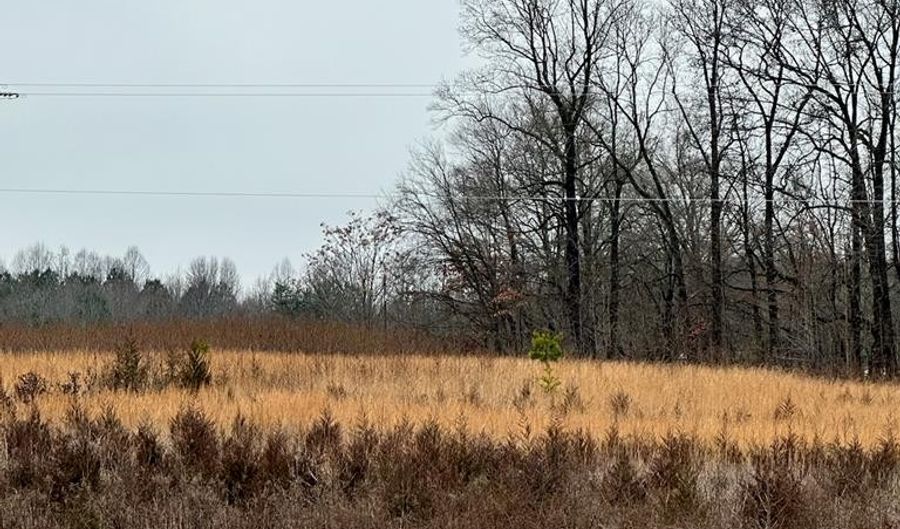 Cluster Springs Rd, Alton, VA 24520 - 0 Beds, 0 Bath