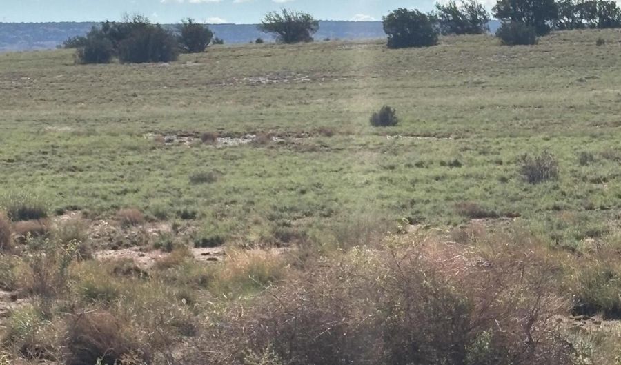 E N CR 5576, Concho, AZ 85924 - 0 Beds, 0 Bath