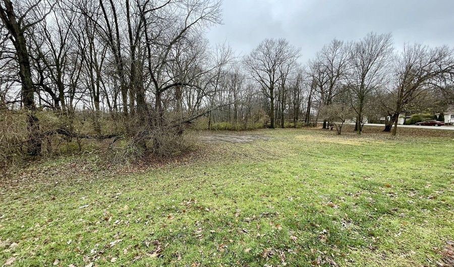 Lot 8-12 Young Street, Marseilles, IL 61341 - 0 Beds, 0 Bath
