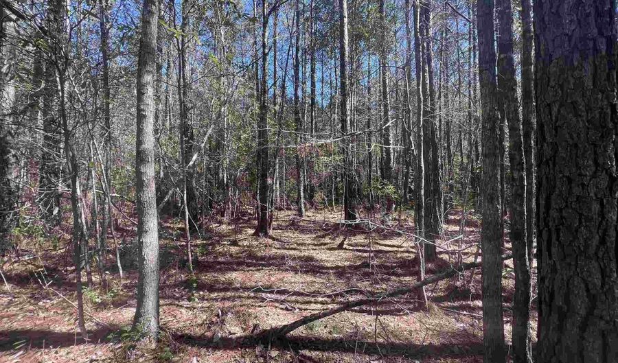 4 Robinsonville Rd, Atmore, AL 36502 - 0 Beds, 0 Bath