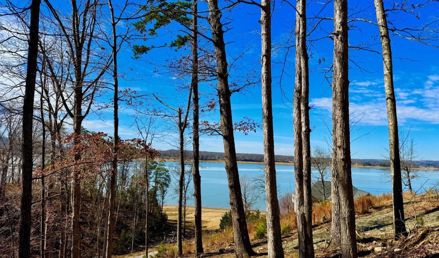 Lake Vista Drive lot 37, Baneberry, TN 37890 - 0 Beds, 0 Bath