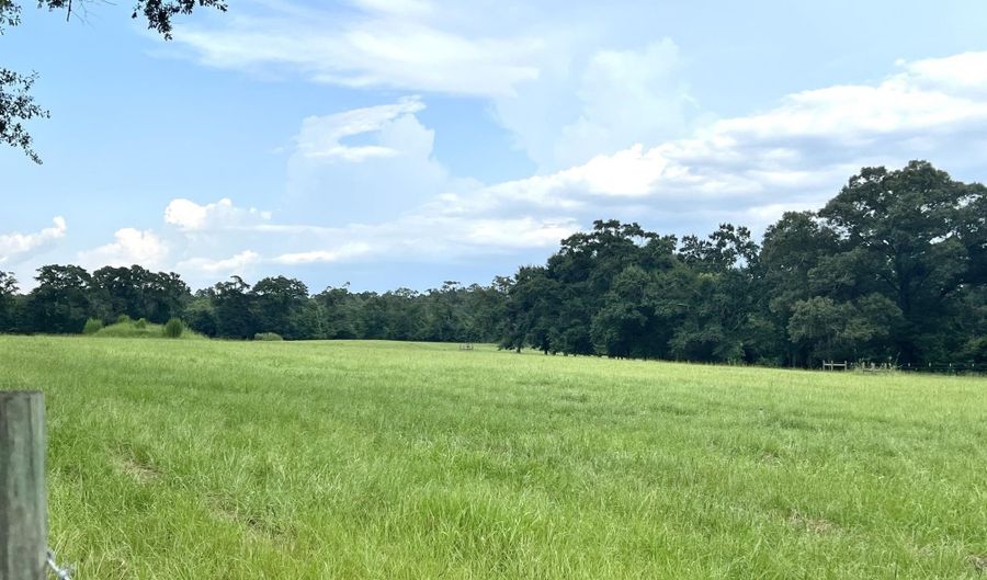 18760 Leon Wiggins Rd, Andalusia, AL 36420 - 0 Beds, 0 Bath