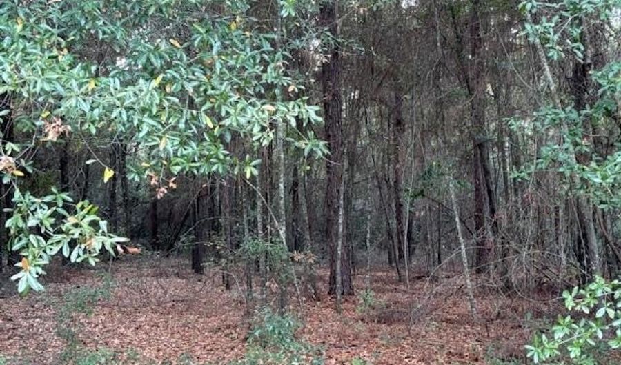 Lot 32 Marie Lane, Bainbridge, GA 39817 - 0 Beds, 0 Bath