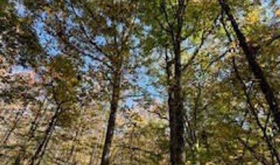 Perry Chapel Road, Ashland, MS 38603 - 0 Beds, 0 Bath