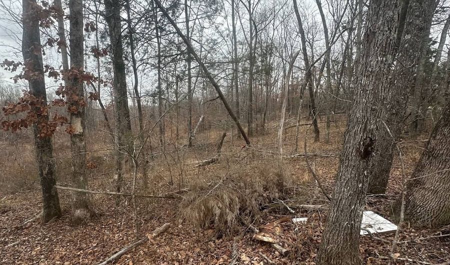 0 Glendale Rd, Adamsville, TN 38310 - 0 Beds, 0 Bath