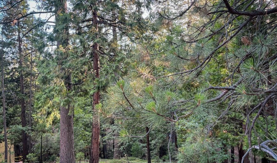 1800 Kit Carson Cir, Arnold, CA 95223 - 0 Beds, 0 Bath