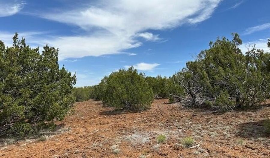 50 County Road 3048, Concho, AZ 85924 - 0 Beds, 0 Bath