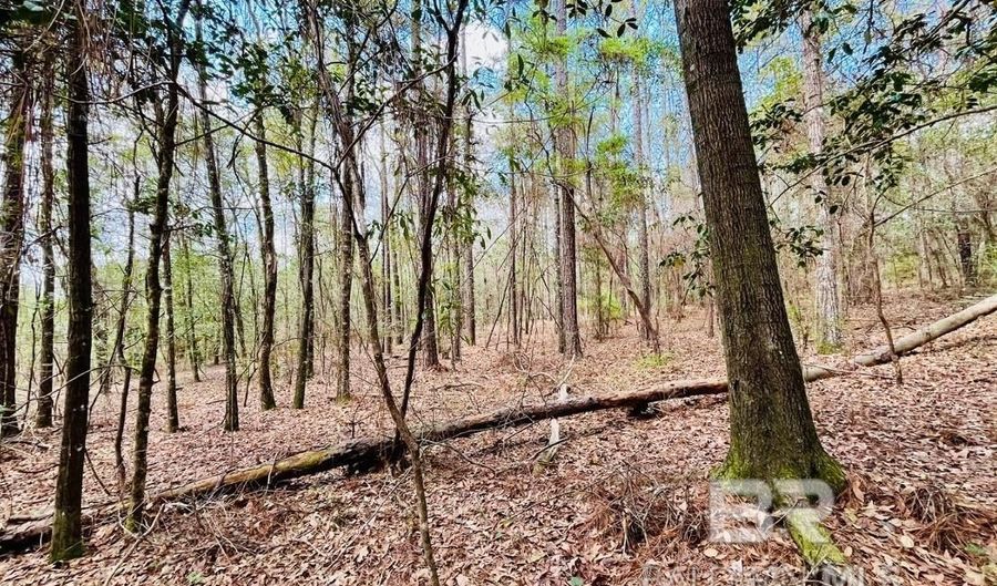 002 Phillipsville Rd, Bay Minette, AL 36507 - 0 Beds, 0 Bath