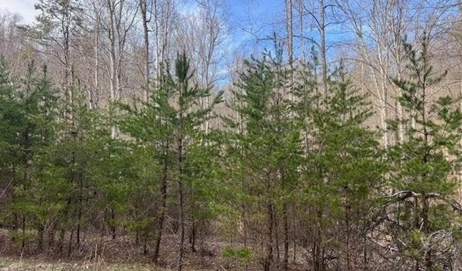 Lot 4 Rose Lane, Barboursville, WV 25504 - 0 Beds, 0 Bath