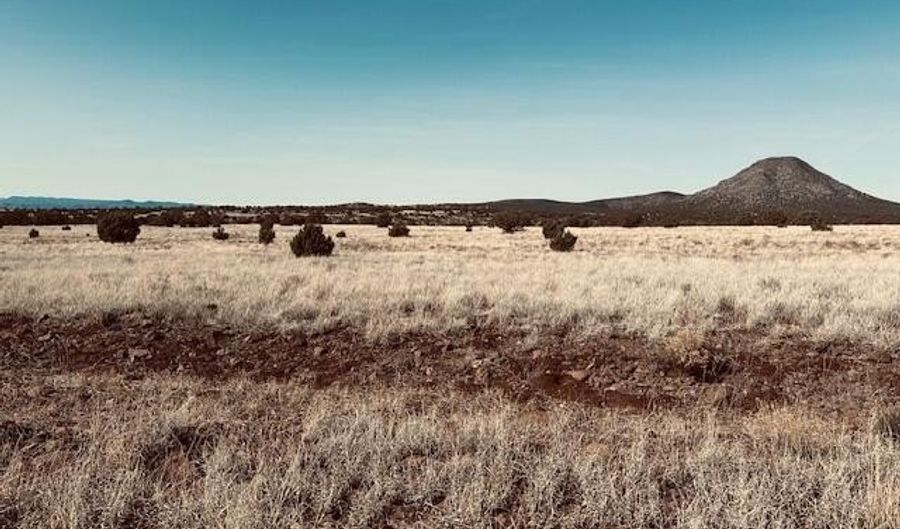 90 C Volcano Trl, Ash Fork, AZ 86320 - 0 Beds, 0 Bath
