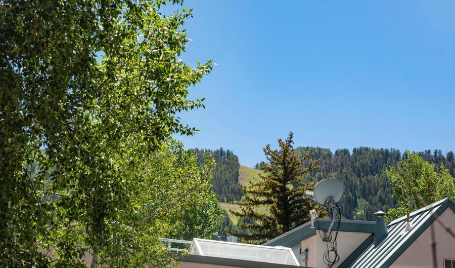 725 E Main St 107, Aspen, CO 81611 - 0 Beds, 1 Bath
