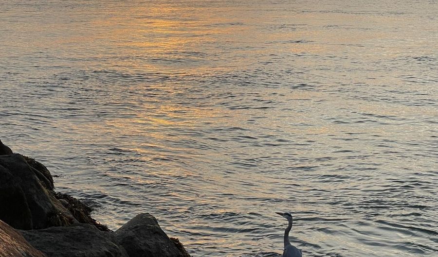 60 Sandwich Rd, Bourne, MA 02532 - 5 Beds, 4 Bath