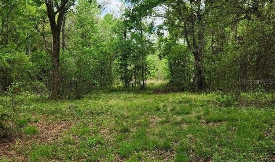 4611 NW 244TH Ave, Alachua, FL 32615 - 0 Beds, 0 Bath
