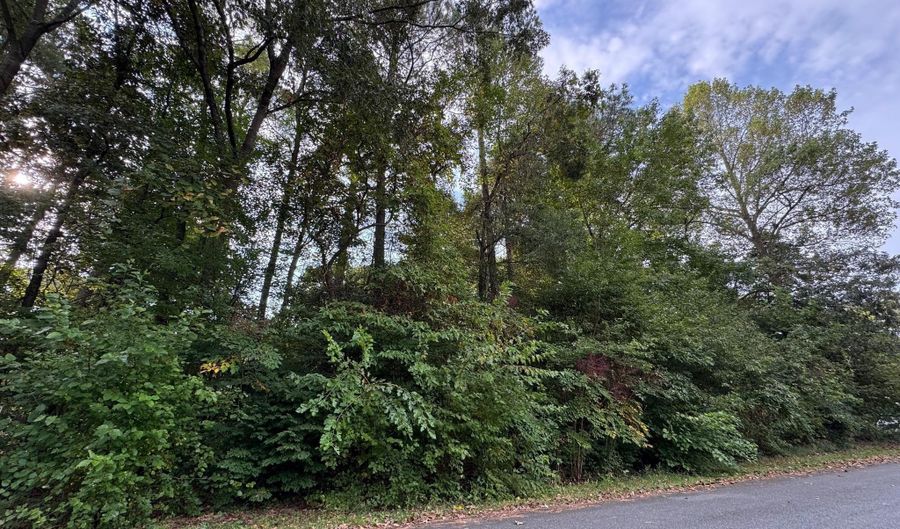 TRACI Drive lot 62, Laurel, DE 19956 - 0 Beds, 0 Bath