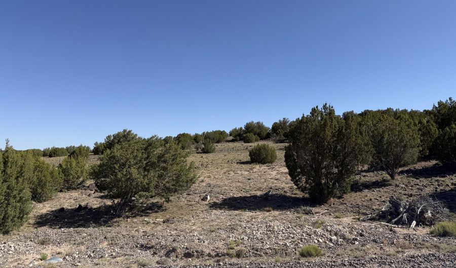 Lot 49 Windsor valley Ranch Drive, Concho, AZ 85924 - 0 Beds, 0 Bath