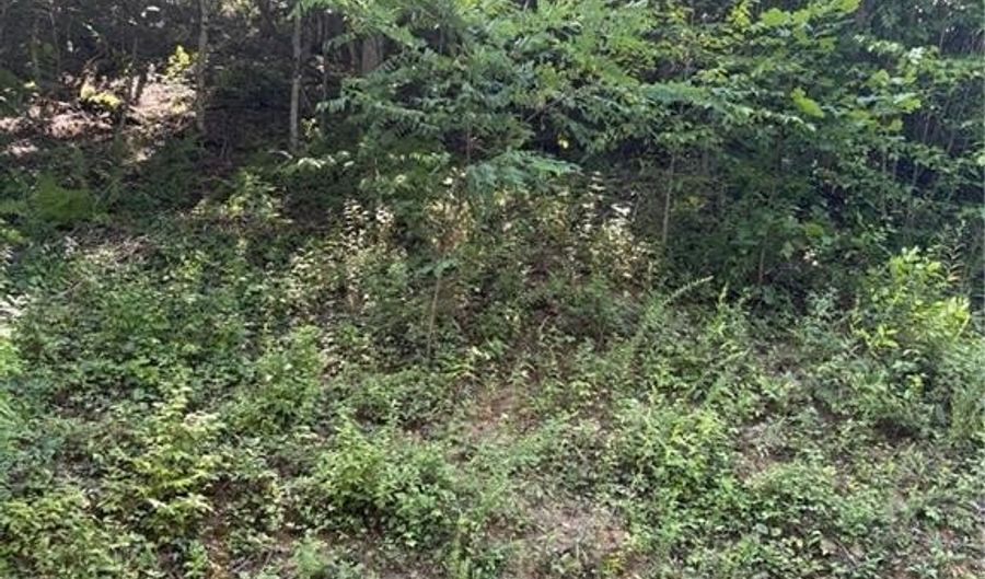 Lot 15 Larkspur Trail, Banner Elk, NC 28604 - 0 Beds, 0 Bath