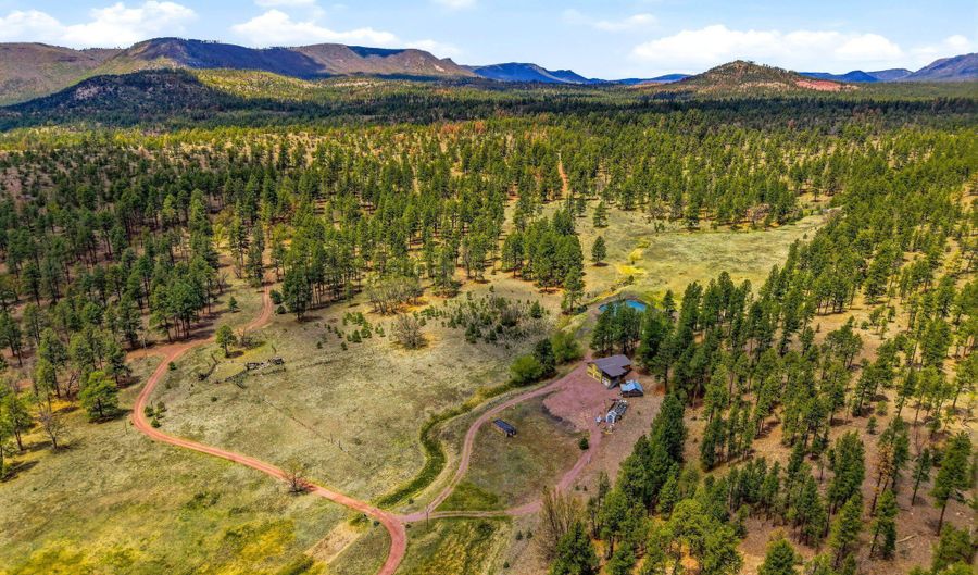 28 County Road 2310, Alpine, AZ 85920 - 4 Beds, 3 Bath