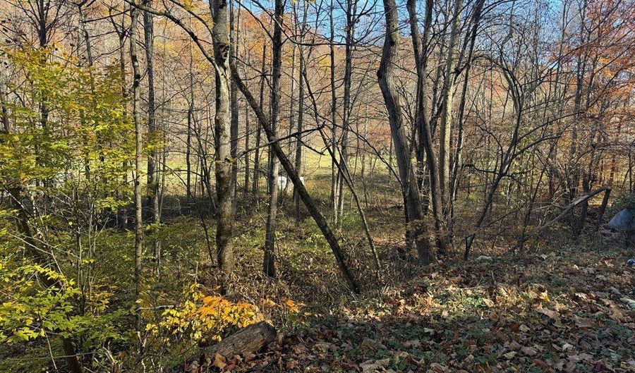 815 White Oak Rd, Artie, WV 25008 - 0 Beds, 0 Bath