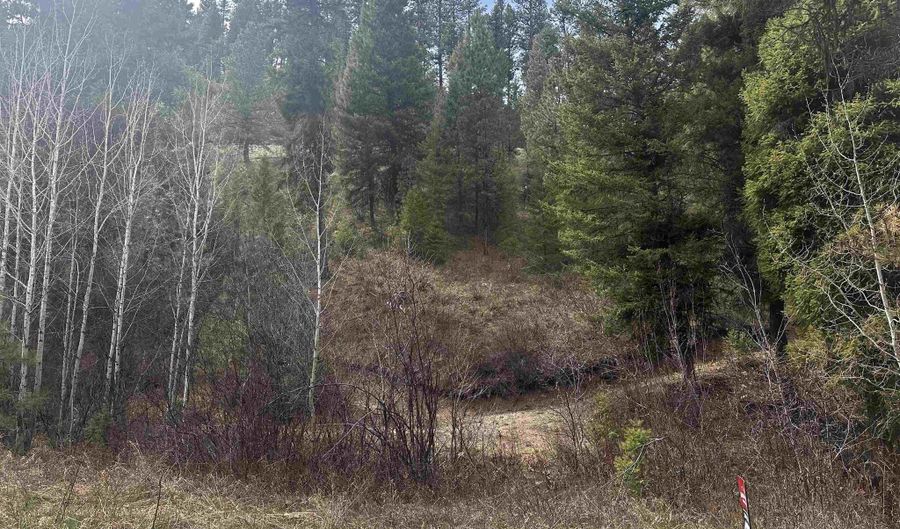 Tbd Lot 7 Valley View Way, Lowman, ID 83637 - 0 Beds, 0 Bath