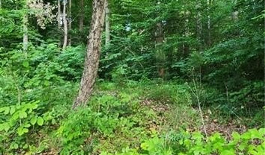 1966 S Lake Dr, Asheboro, NC 27205 - 3 Beds, 2 Bath