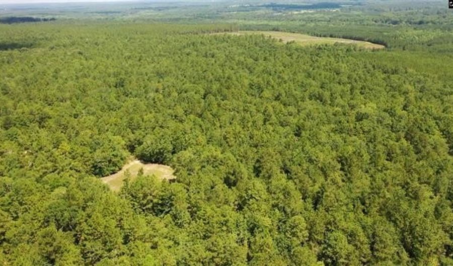 0 Huckleberry Finn Rd, Batesburg Leesville, SC 29006 - 0 Beds, 0 Bath