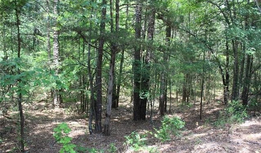 5 E 1909 Rd, Antlers, OK 74523 - 0 Beds, 0 Bath