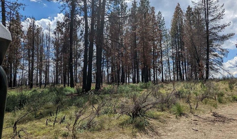 Bull Pine Road, Bly, OR 97622 - 0 Beds, 0 Bath