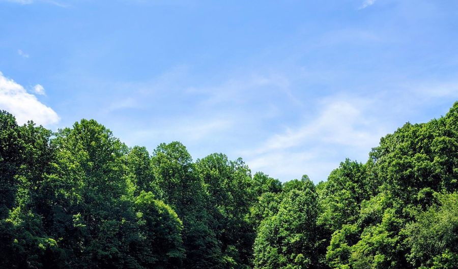 138 Stooksbury Ln, Andersonville, TN 37705 - 0 Beds, 0 Bath