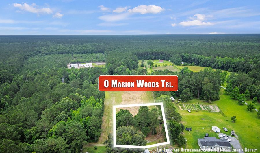 1 Marion Woods Trl, Bonneau, SC 29431 - 0 Beds, 0 Bath
