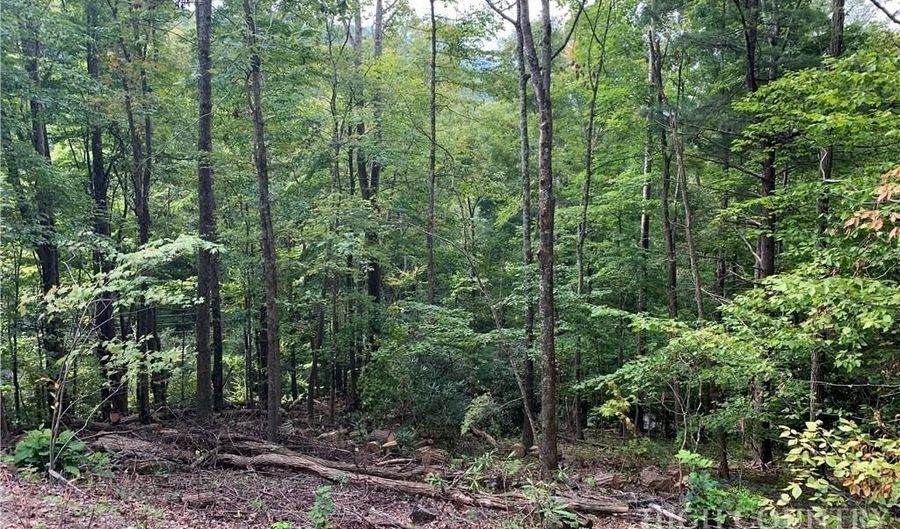 Basswood, Banner Elk, NC 28604 - 0 Beds, 0 Bath