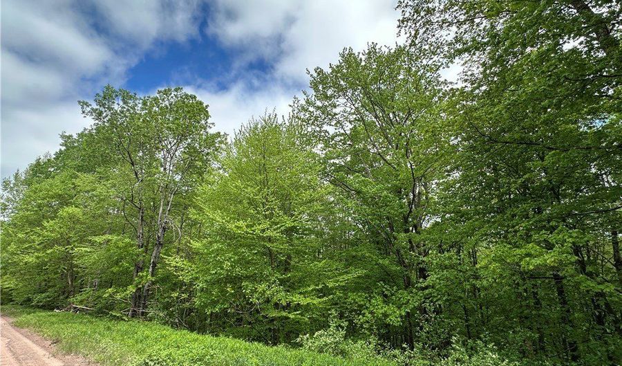 Woodland Hills Road, Andes, NY 13731 - 0 Beds, 0 Bath