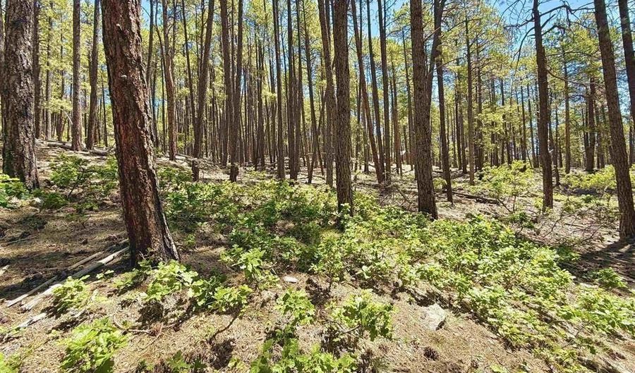 249 Timber Dr, Bayfield, CO 81122 - 0 Beds, 0 Bath