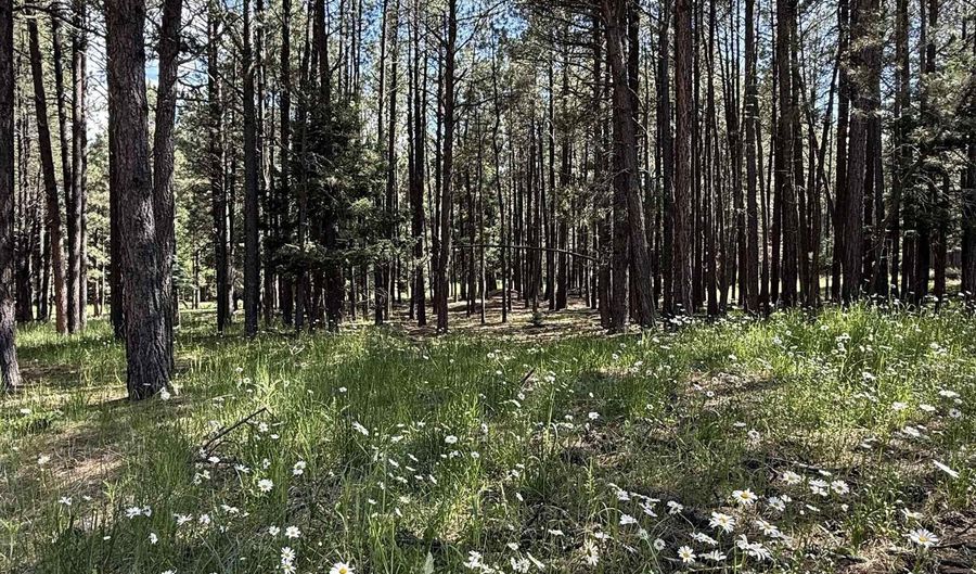 Lot 940 White Sands Circle, Angel Fire, NM 87710 - 0 Beds, 0 Bath
