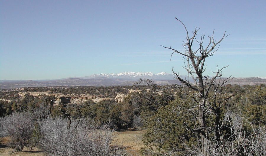 R4001851 ROAD 27780, Aztec, NM 87410 - 0 Beds, 0 Bath