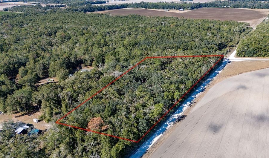 4035 County Road 342, Bell, FL 32619 - 4 Beds, 3 Bath