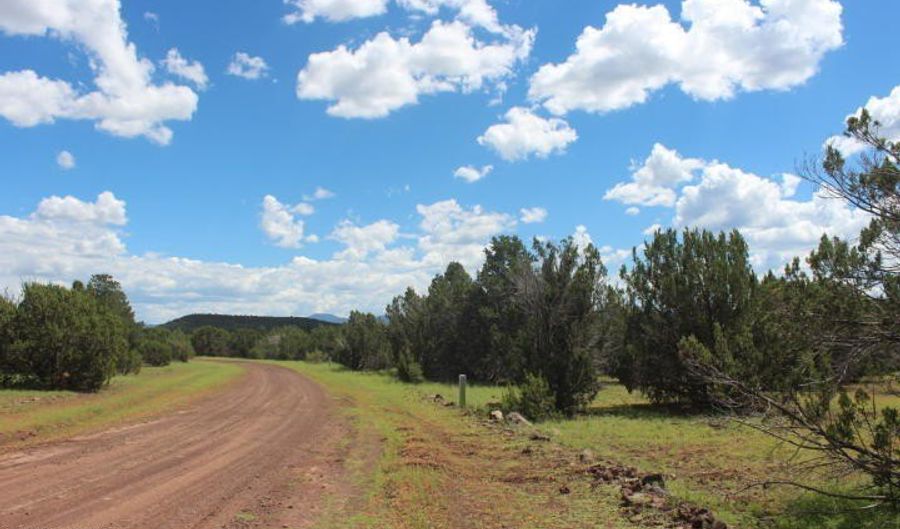 29 Co Rd 3199, Vernon, AZ 85940 - 0 Beds, 0 Bath