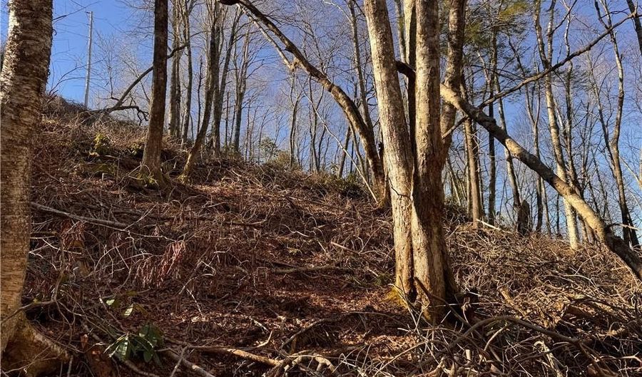 Snow Ridge Road lot 39 And 40, Banner Elk, NC 28604 - 0 Beds, 0 Bath