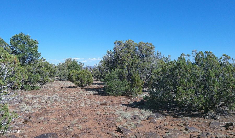 24 County Road 8063, Concho, AZ 85924 - 0 Beds, 0 Bath