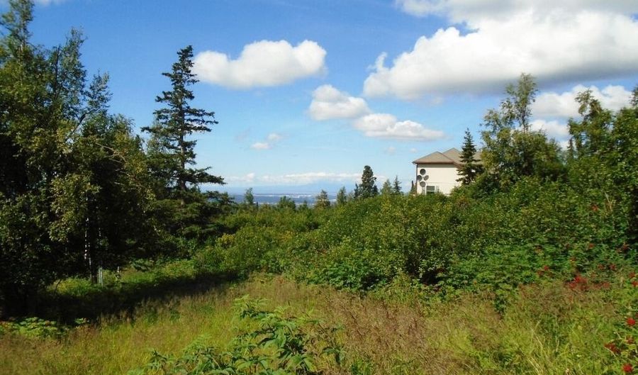 12801 Midori Dr, Anchorage, AK 99516 - 0 Beds, 0 Bath