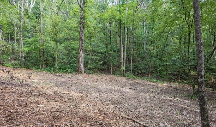 23 59 Ac Chestnut Flats Rd, Andrews, NC 28901 - 0 Beds, 0 Bath