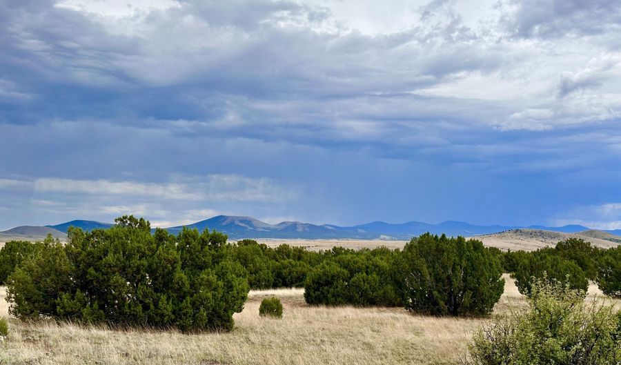 Tbd County Rd N3440, Concho, AZ 85924 - 0 Beds, 0 Bath