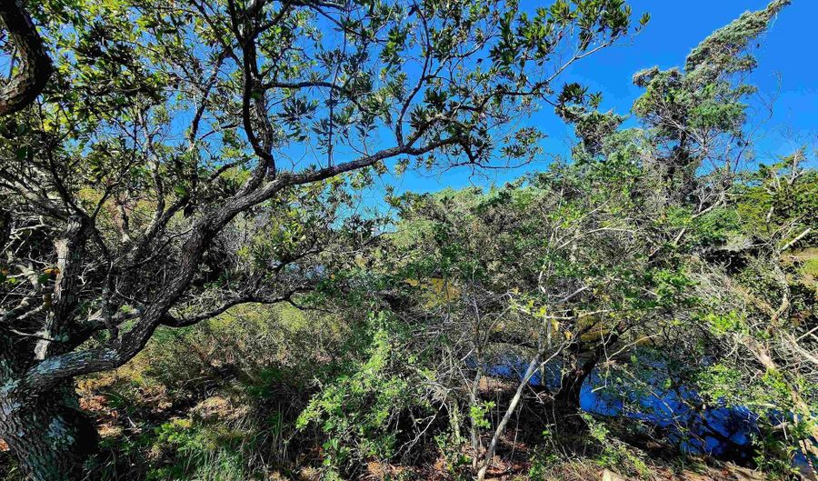 42195 Shallow Point Dr Lot 29, Avon, NC 27915 - 0 Beds, 0 Bath