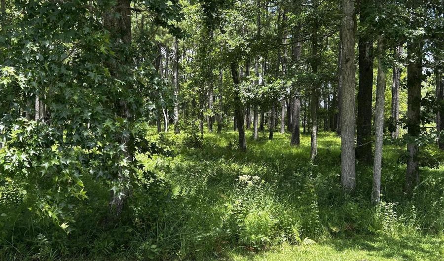 162 Sunshine Dr, Arapahoe, NC 28510 - 0 Beds, 0 Bath