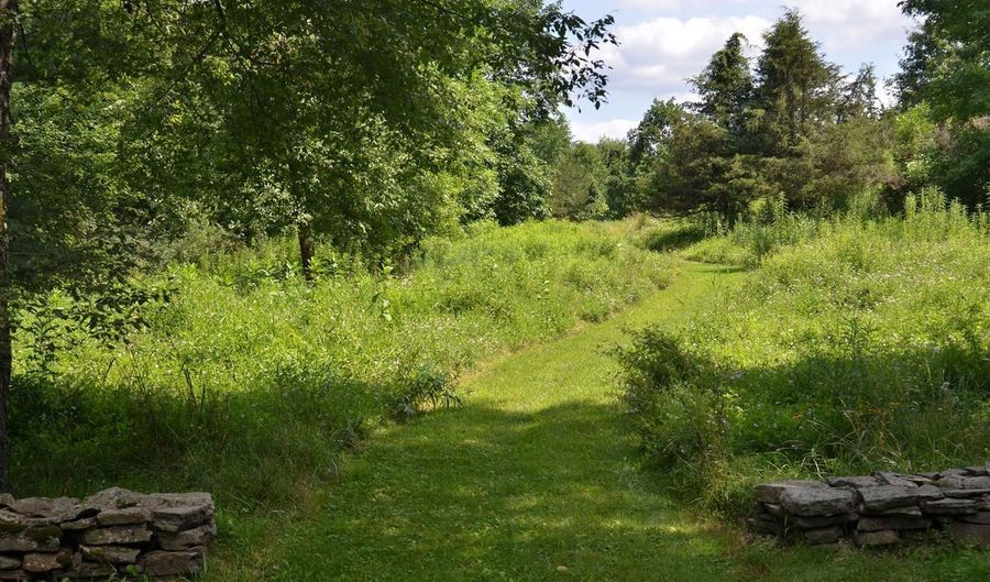 332 Arcadia, Ancram, NY 12502 - 4 Beds, 4 Bath