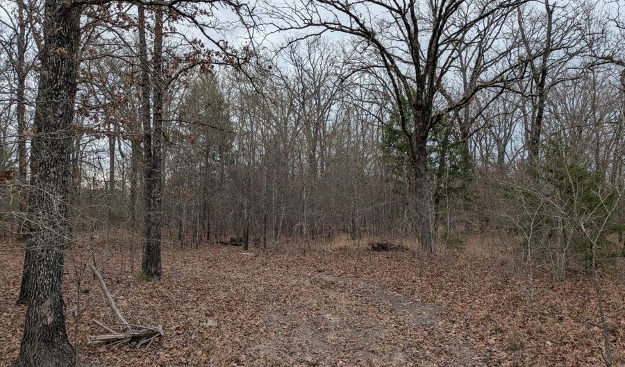 179 RS County Road 2572, Alba, TX 75410 - 0 Beds, 0 Bath