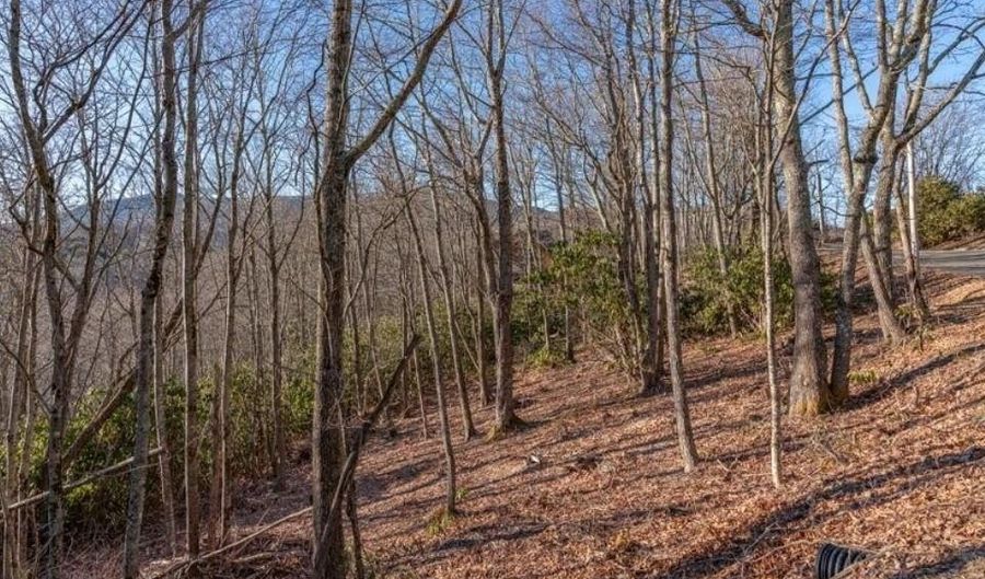 Tbd Snow Ridge Road, Banner Elk, NC 28604 - 0 Beds, 0 Bath