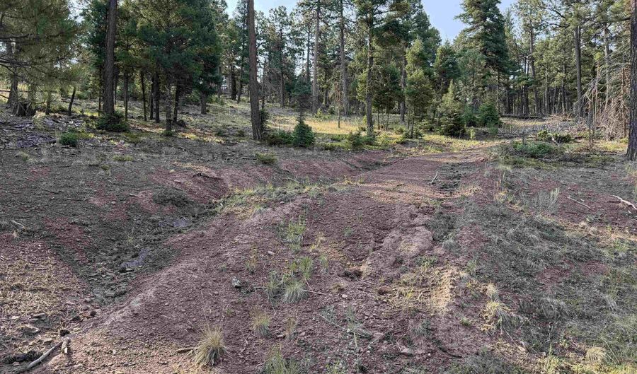 Luna lot 1581, Angel Fire, NM 87710 - 0 Beds, 0 Bath
