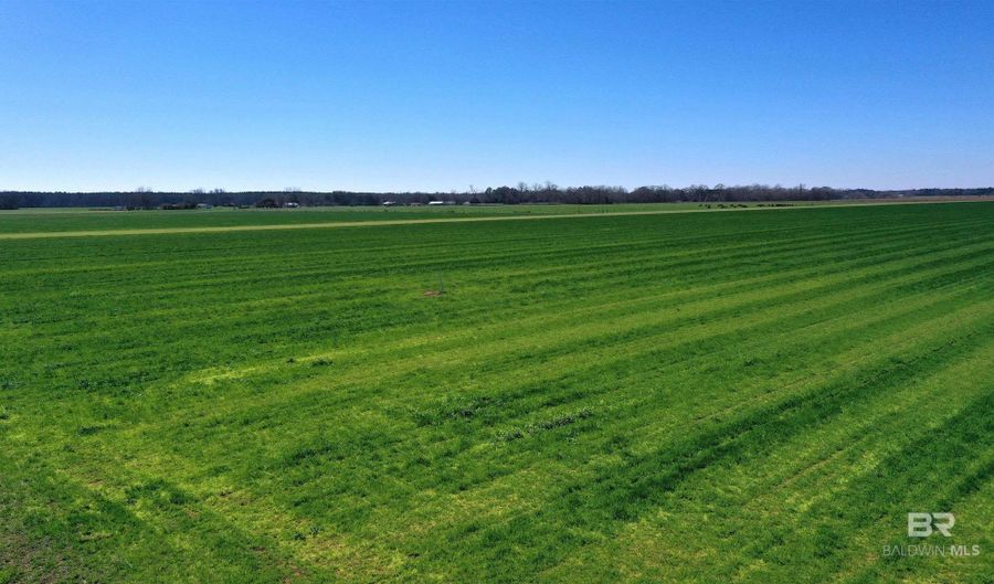 Lot 15 Davis Pond Road, Atmore, AL 36502 - 0 Beds, 0 Bath
