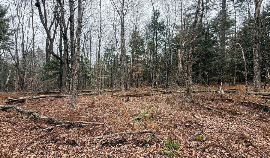 LOT10 Benton Hill Rd, Becket, MA 01223 - 0 Beds, 0 Bath